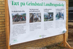 Foto: Grindsted Landbrugsskole