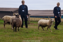 Foto: Grindsted Landbrugsskole