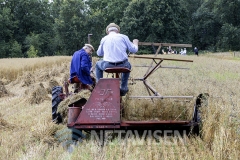 Høstdag på Museumsgården Karensminde den 4. august 2024