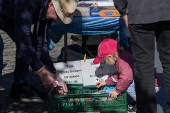 Foto: Hans Jørgen Kristensen