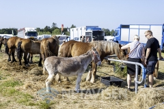 Foto: René Lind Gammelmark