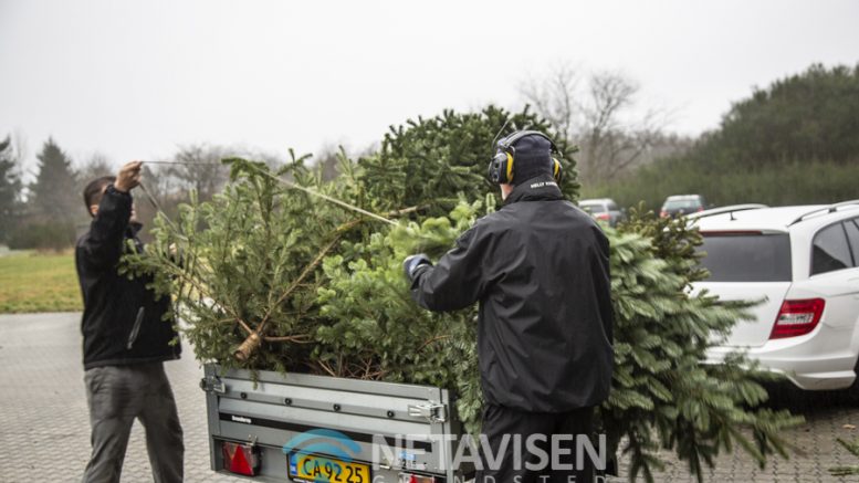 juletræsindsamling