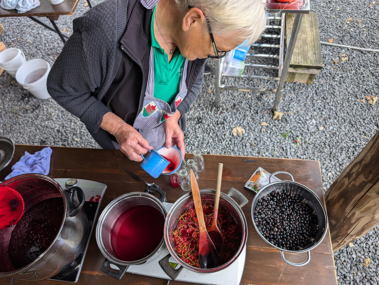 Sommeraktiviteter på Karensminde