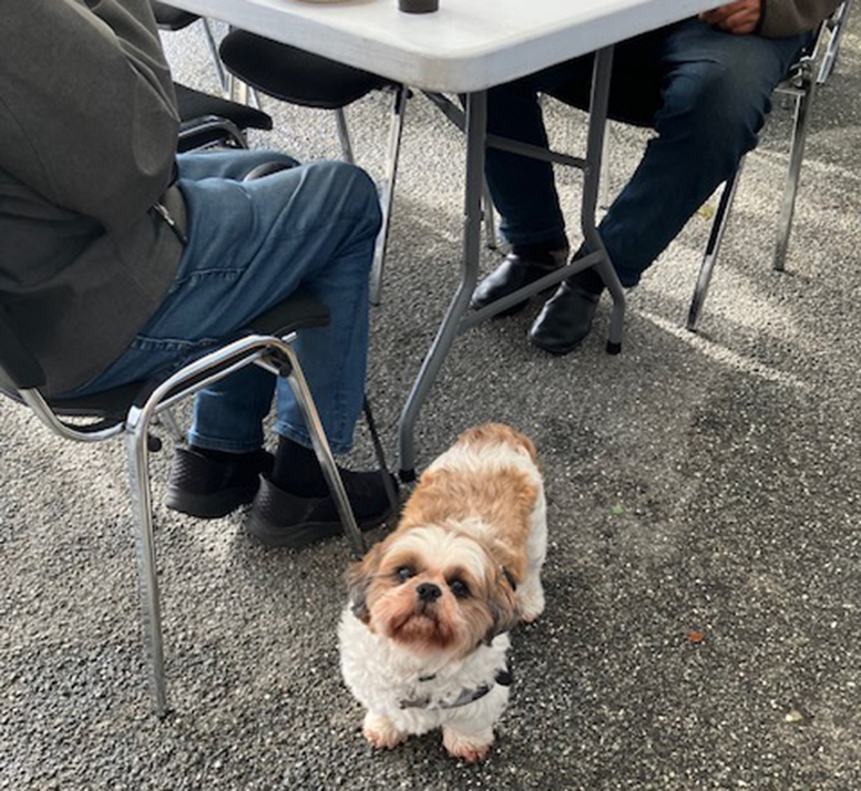 Seniorfestival med strik og morgenkaffe