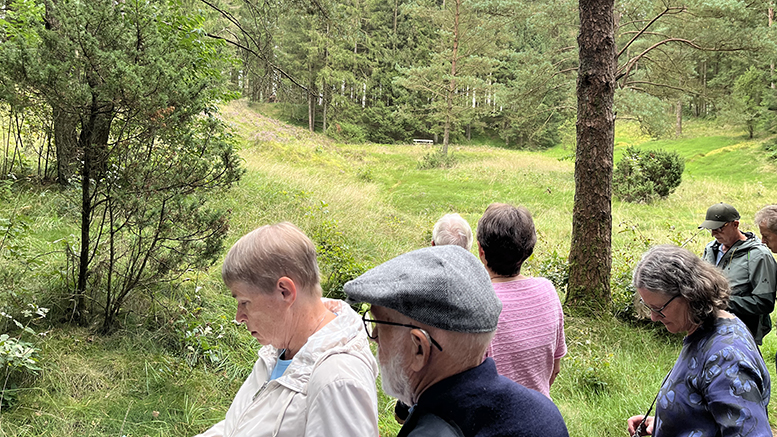 Lærerseniorer på udflugt til Randbøl Hede