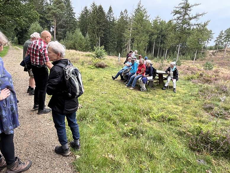 Lærerseniorer på udflugt til Randbøl Hede